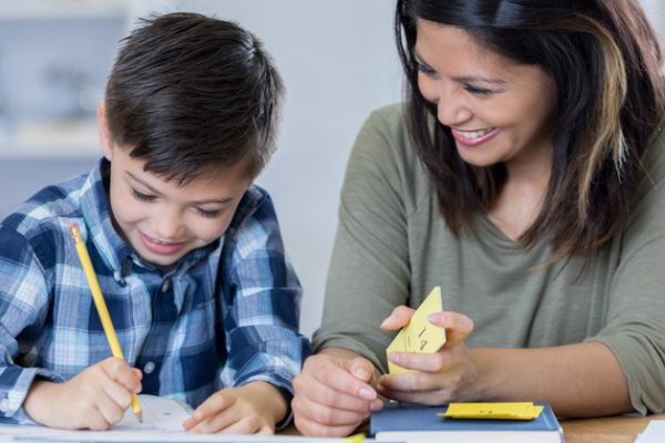 Aanvullend onderwijs PO uit de schaduw